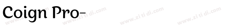 Coign Pro字体转换
